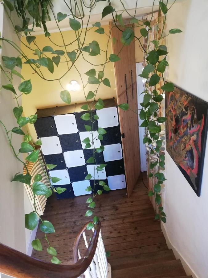 La Chambre D'Hote De Christelle Apartment Шербур-ан-Котентан Екстериор снимка